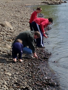Boys searching for rocks